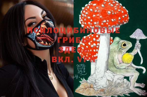 спайс Вяземский