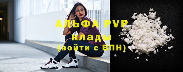 спайс Вяземский
