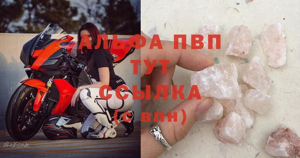 спайс Вяземский