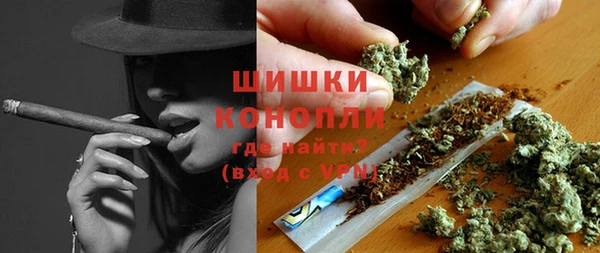 спайс Вяземский