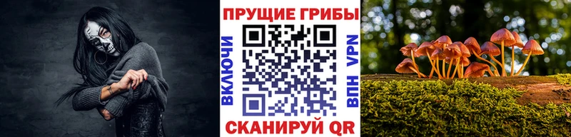 как найти закладки  Щёлково  Галлюциногенные грибы ЛСД 
